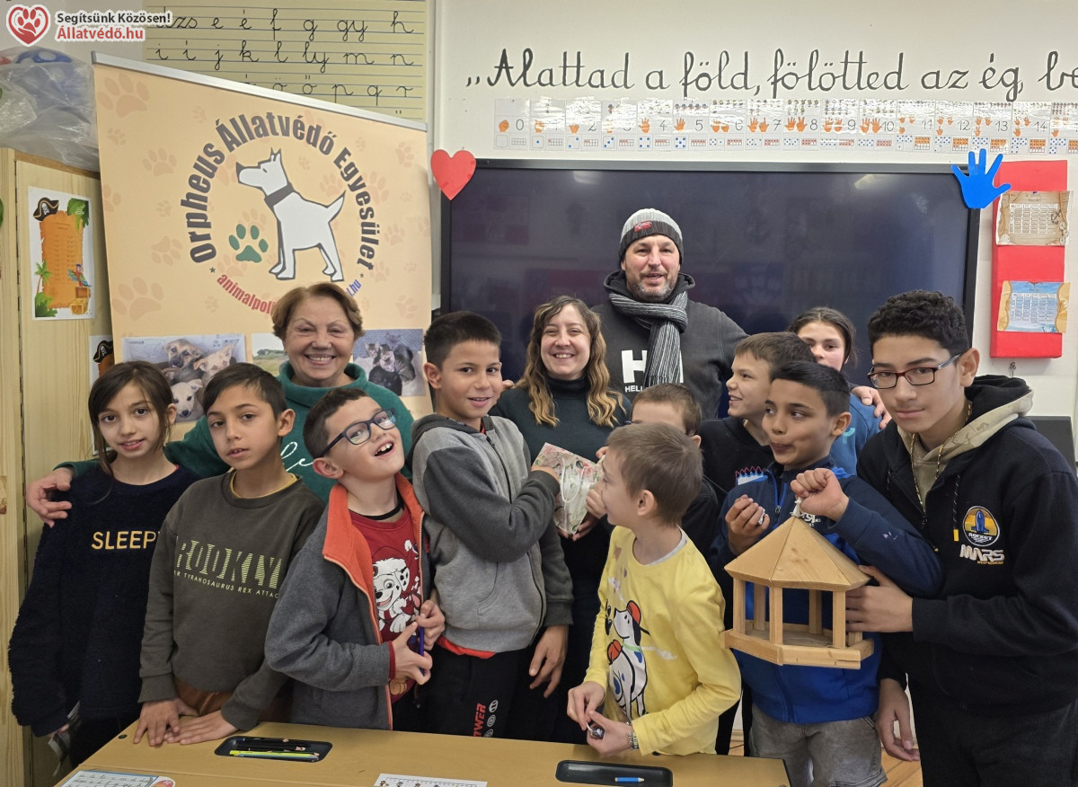 Állatvédelmi szemléletformálás a felelős állattartásért