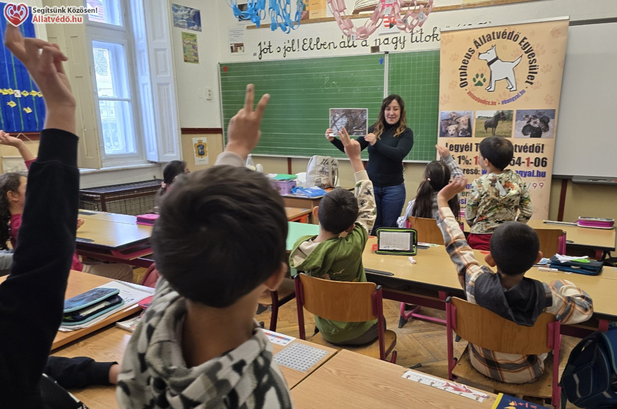 Állatvédelmi szemléletformálás a felelős állattartásért