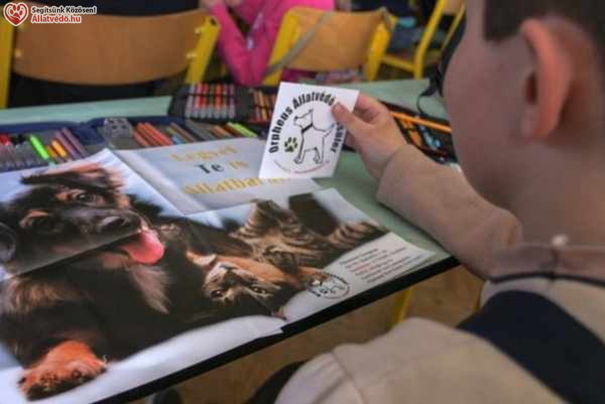 Állatvédelmi szemléletformálás a felelős állattartásért