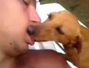 Zoofília - szexuális bűncselekmény, állatkínzás (+18) Zoofília - szexuális bűncselekmény, állatkínzás (+18)